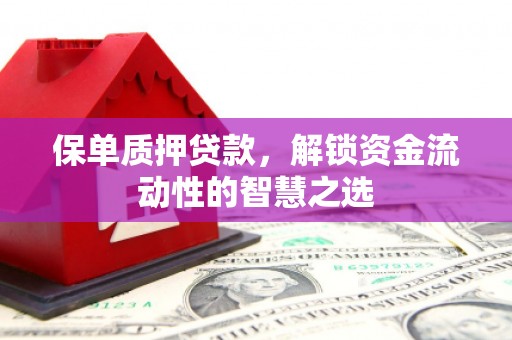 汇川保单质押贷款，解锁资金流动性的智慧之选