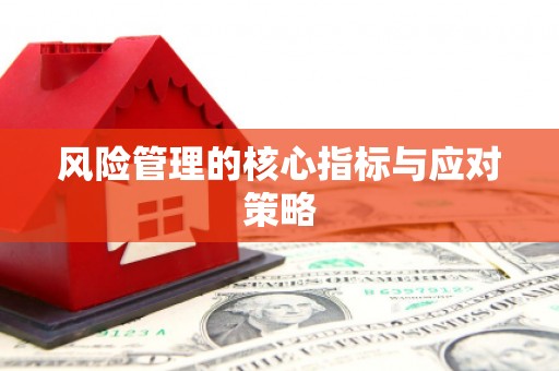 汇川风险管理的核心指标与应对策略