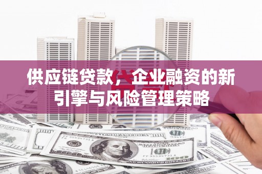 汇川供应链贷款，企业融资的新引擎与风险管理策略