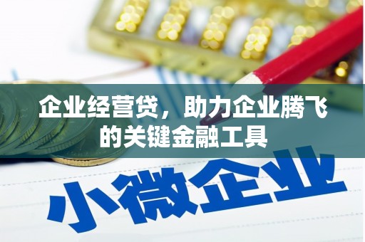 汇川企业经营贷，助力企业腾飞的关键金融工具