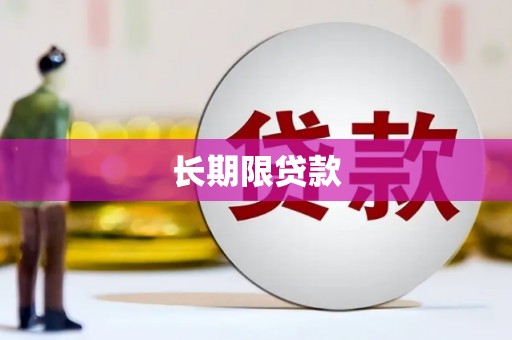汇川长期限贷款