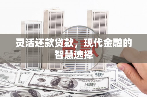 汇川灵活还款贷款，现代金融的智慧选择