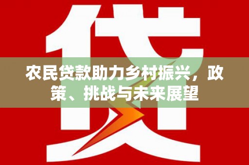 汇川农民贷款助力乡村振兴，政策、挑战与未来展望