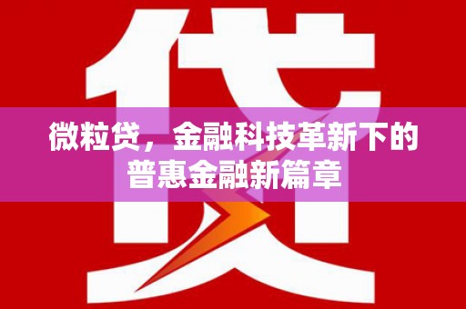 汇川微粒贷，金融科技革新下的普惠金融新篇章