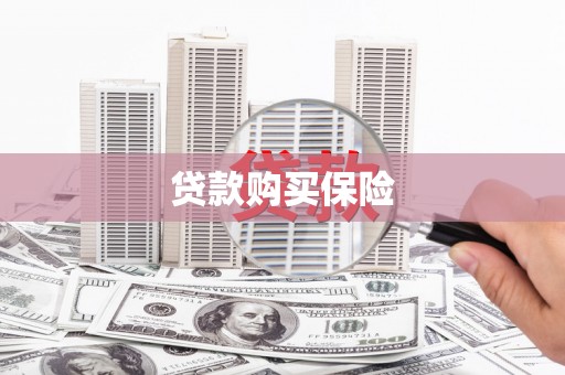 汇川贷款购买保险