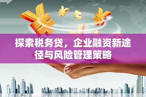 汇川探索税务贷，企业融资新途径与风险管理策略