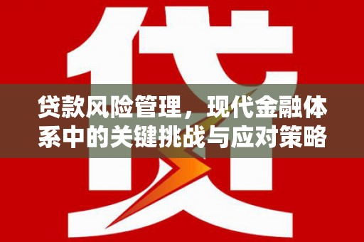 汇川贷款风险管理，现代金融体系中的关键挑战与应对策略