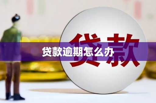 汇川贷款逾期怎么办