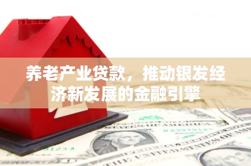 汇川养老产业贷款，推动银发经济新发展的金融引擎