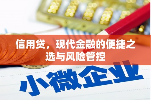 汇川信用贷，现代金融的便捷之选与风险管控