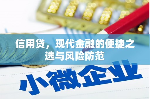 汇川信用贷，现代金融的便捷之选与风险防范