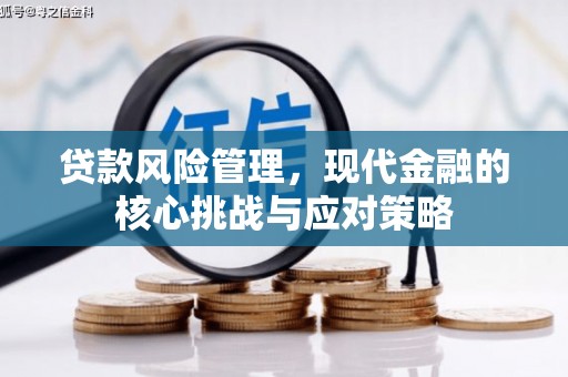 汇川贷款风险管理，现代金融的核心挑战与应对策略