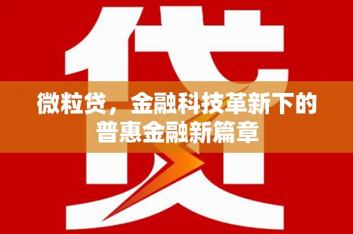 汇川微粒贷，金融科技革新下的普惠金融新篇章