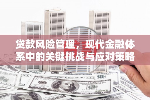 汇川贷款风险管理，现代金融体系中的关键挑战与应对策略