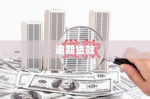 汇川逾期贷款