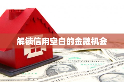 汇川解锁信用空白的金融机会
