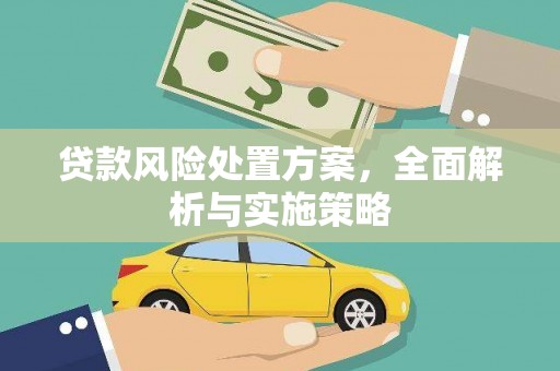 汇川贷款风险处置方案，全面解析与实施策略