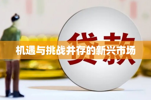 汇川机遇与挑战并存的新兴市场