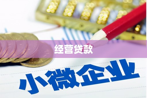汇川经营贷款