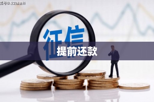 汇川提前还款