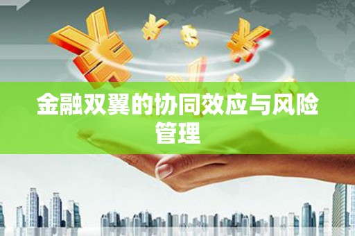 汇川金融双翼的协同效应与风险管理